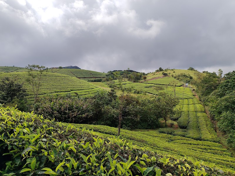 Vagamon View Point - Vagamon View Point MVPX+3H, Vagamon, Keralam 685503, India