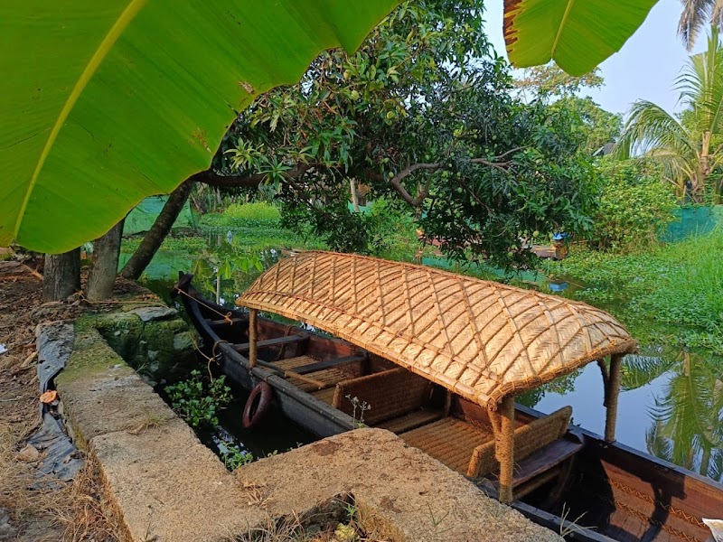 Paddy N' Canal Homestay - Paddy N' Canal Homestay opposite FIRE STATION, Thirumala, Alappuzha, Alapuzha, Kerala 688011, India
