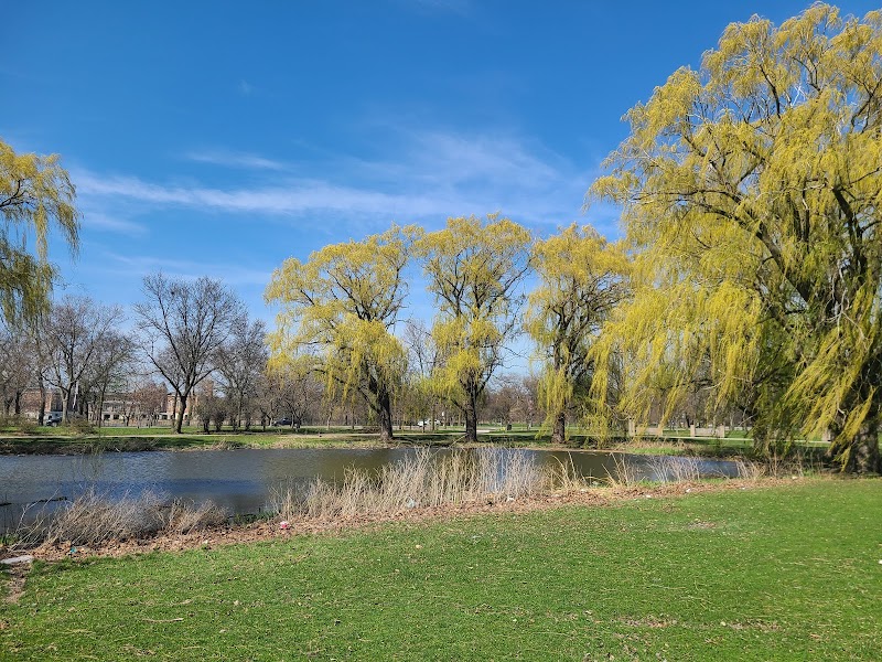 Douglass (Anna & Frederick) Park - Douglass (Anna & Frederick) Park 1401 S Sacramento Dr, Chicago, IL 60623, USA