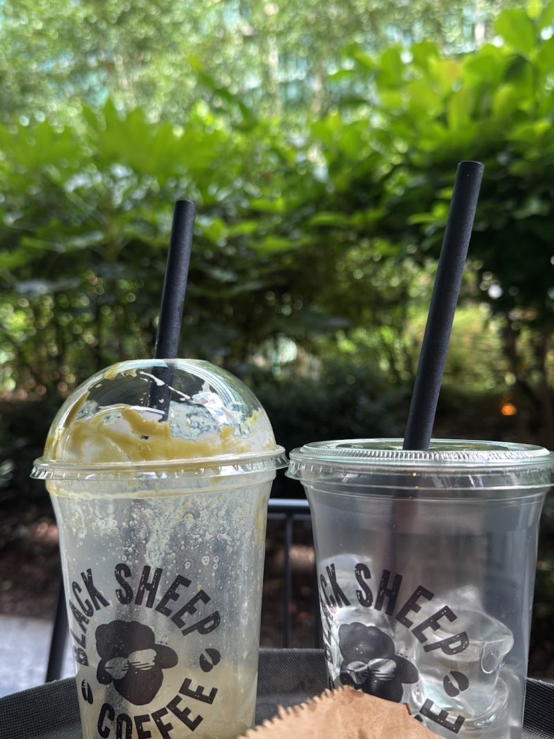 Black Sheep Coffee - Paddington - Black Sheep Coffee - Paddington Paddington Central, 2 Kingdom St, London W2 6BD, UK