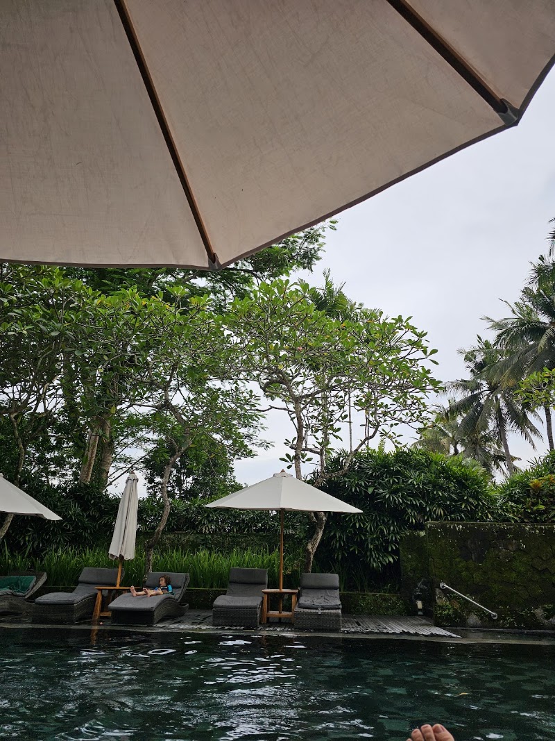 Infinity forest pool - Infinity forest pool, F7PH+3CW, Peliatan, Ubud, Gianyar Regency, Bali 80552, Indonesia