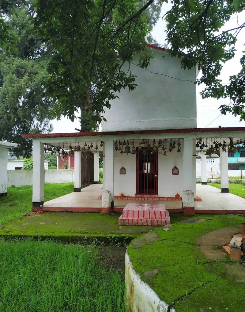 Bhul Na Jana Pahadi Khana - Bhul Na Jana Pahadi Khana QGQH+W6M, near golu devta temple, Lod Batuliya, Someshwar Range, Uttarakhand 263637, India