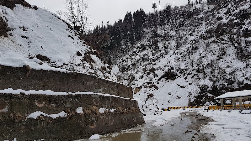 Janki Chatti - Janki Chatti, Uttarakhand 249141, India