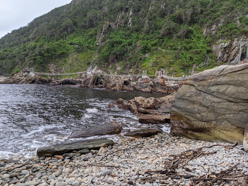 Tsitsikamma - Tsitsikamma, South Africa
