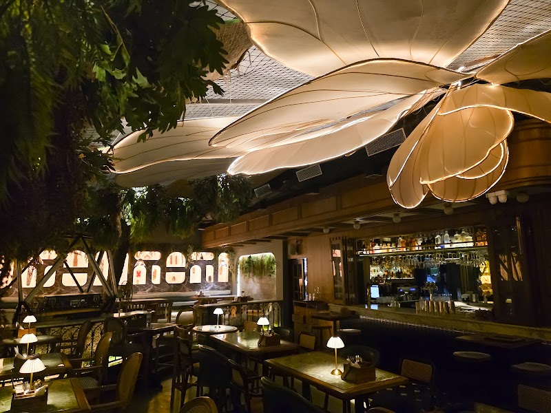 Pimlico - Pimlico End of, Lane No. 6, Ashok Chakra Society, Meera Nagar, Koregaon Park, Pune, Maharashtra 411001, India