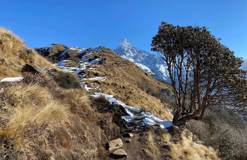 Mardi Himal - Mardi Himal FWFH+73C, Lwang Ghalel 33700, Nepal