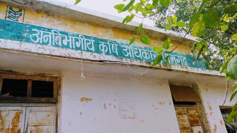 SDO(Ag) Office Pamgarh - SDO(Ag) Office Pamgarh VFC3+FH9, Pamgarh, Chhattisgarh 495554, India
