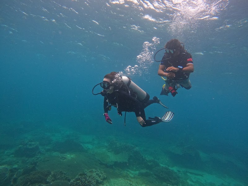 Ocean Plus Trinco Watersport and Dive Center - Ocean Plus Trinco Watersport and Dive Center Sri Lanka, LK Nilaveli 8th mile post, Veloor, Ward no-01邮政编码: 31010