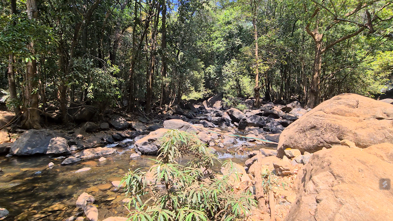 Dudhsagara Waterfall Camp Site - Dudhsagara Waterfall Camp Site Sonauli, Goa 403410, India