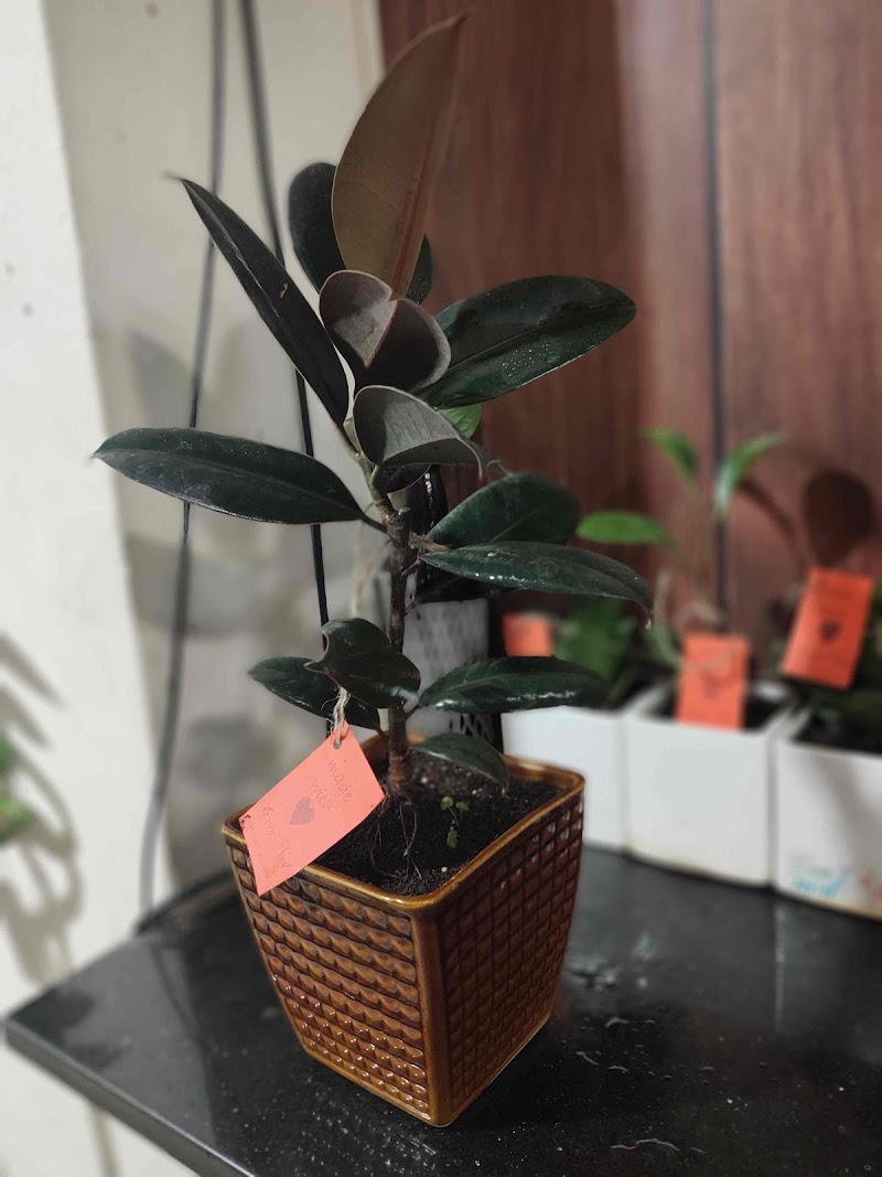 GREEN NEST - GREEN NEST 23, Kailash Park, near Geeta bhawan, Kailash Park Colony, Indore, Madhya Pradesh 452001, India