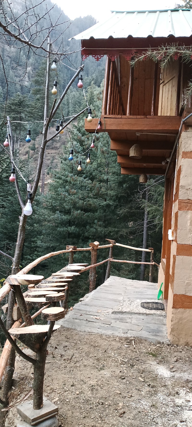 Jibhi Alpine heaven forest view - Jibhi Alpine heaven forest view p/o, Jibhi, Tandi, Himachal Pradesh 175123, India