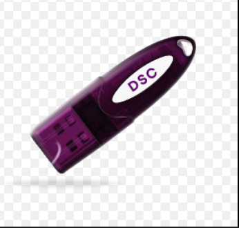 Minakshi DSC Solutions - Minakshi DSC Solutions, 01, Shankar Nagar, Raipur, Chhattisgarh 492001, India