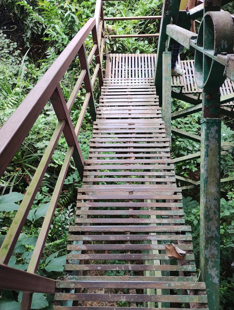 Kumarakom Bird Sanctuary Tower 2 - Kumarakom Bird Sanctuary Tower 2, JCJC+8G4, Kavanattinkara, Kumarakom, Kerala 686563, India