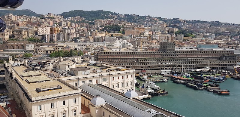 Porto di Genova - Terminal Traghetti - Porto di Genova - Terminal Traghetti, Piazzale dei Traghetti Iqbal Masih, 16126 Genova GE, Italy