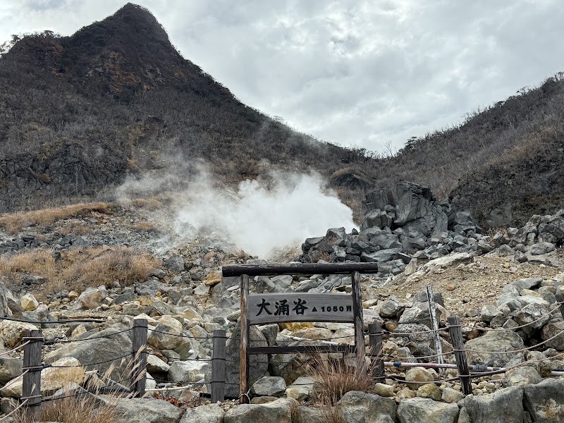 Owakudani Nature Research Trail