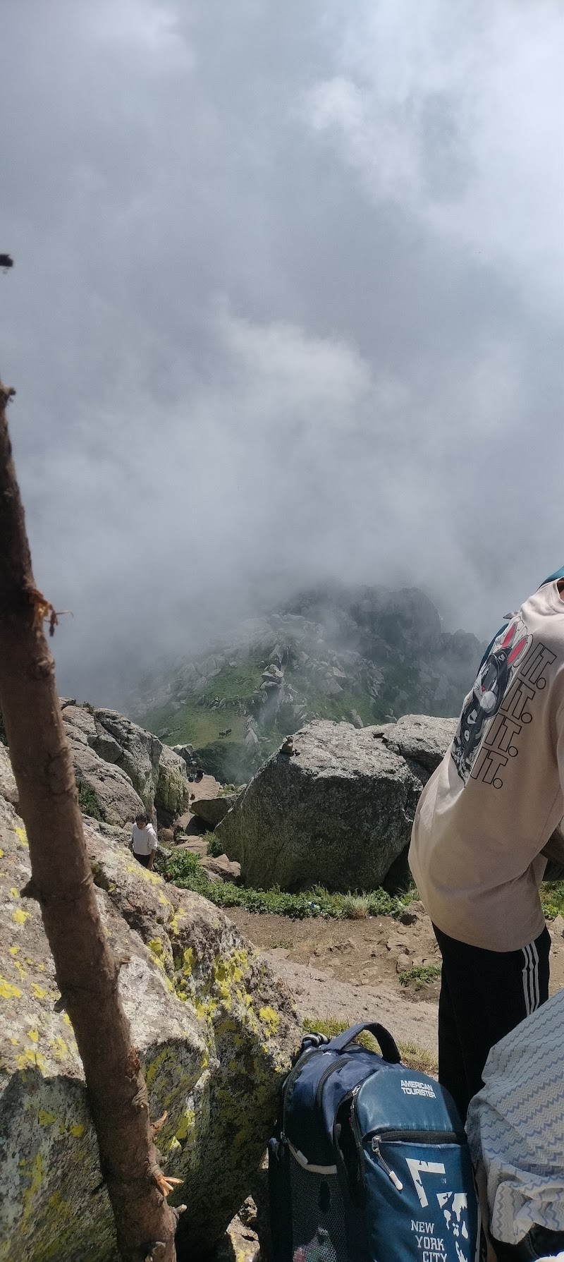Churdhar Trek point - Churdhar Trek point, RC99+6P, Nohra, Bhog Batewari, Himachal Pradesh 173104, India