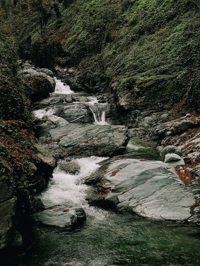 Gorge - Gorge, V75Q+PP, Lagodekhi, Georgia
