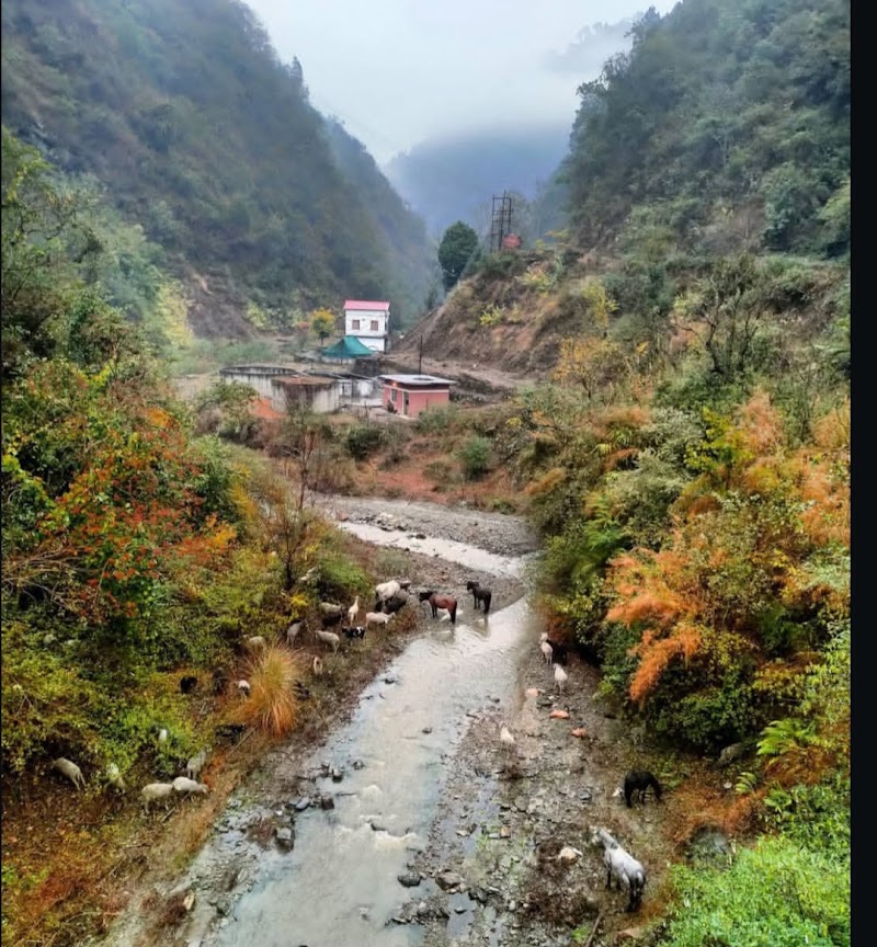 The Sunrise Retreat - The Sunrise Retreat Kot, Anji Brahmana, Himachal Pradesh 173234, India