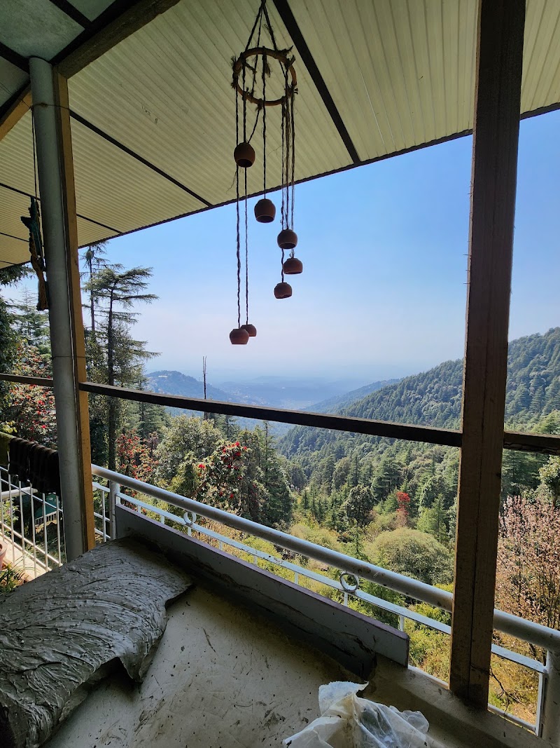 Mcleodganj Diaries - Mcleodganj Diaries, Naddi Rd, opposite Aliza Inn and Suites, Naddi, McLeod Ganj, Dharamshala, Kangra, Himachal Pradesh 176216, India