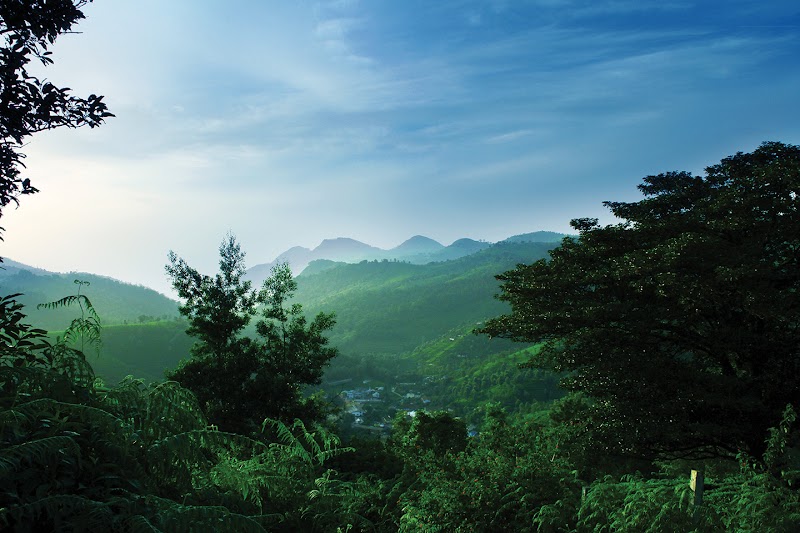 Misty Hills - Misty Hills Sogathorai Rd, Coonoor, Ketti, Tamil Nadu 643102, India