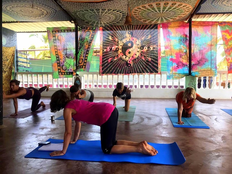 Yoga Teacher Training in Goa - AYM Yoga School - Yoga Teacher Training in Goa - AYM Yoga School AYM Yoga Goa, behind Lavish Restaurant, Girkarwada, Arambol, Goa 403524, India