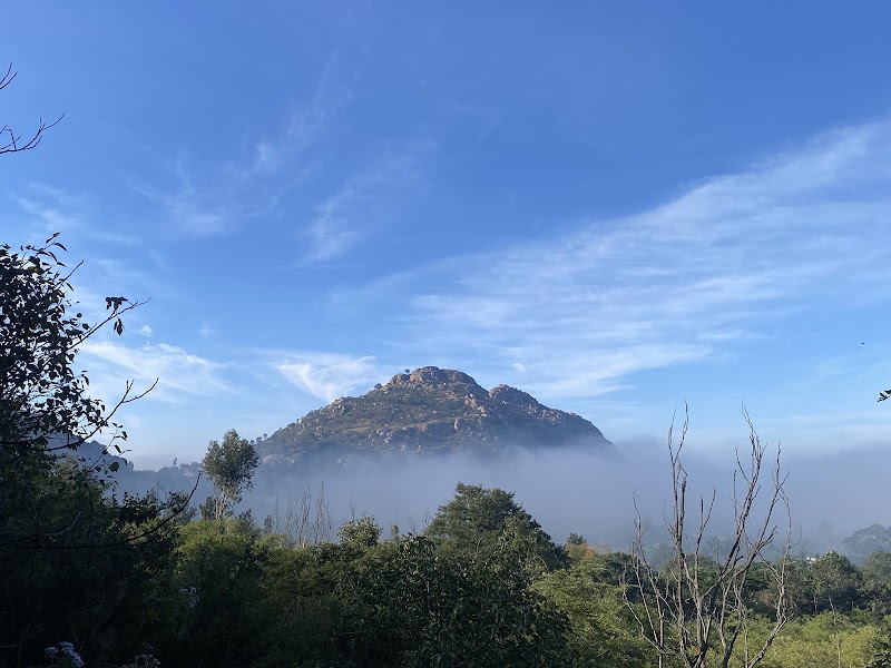 Kaiwara National Park - Kaiwara National Park, 9242+9C, Kaiwara Ghavi Rd, Shamarao Hospete, Karnataka 563128, India