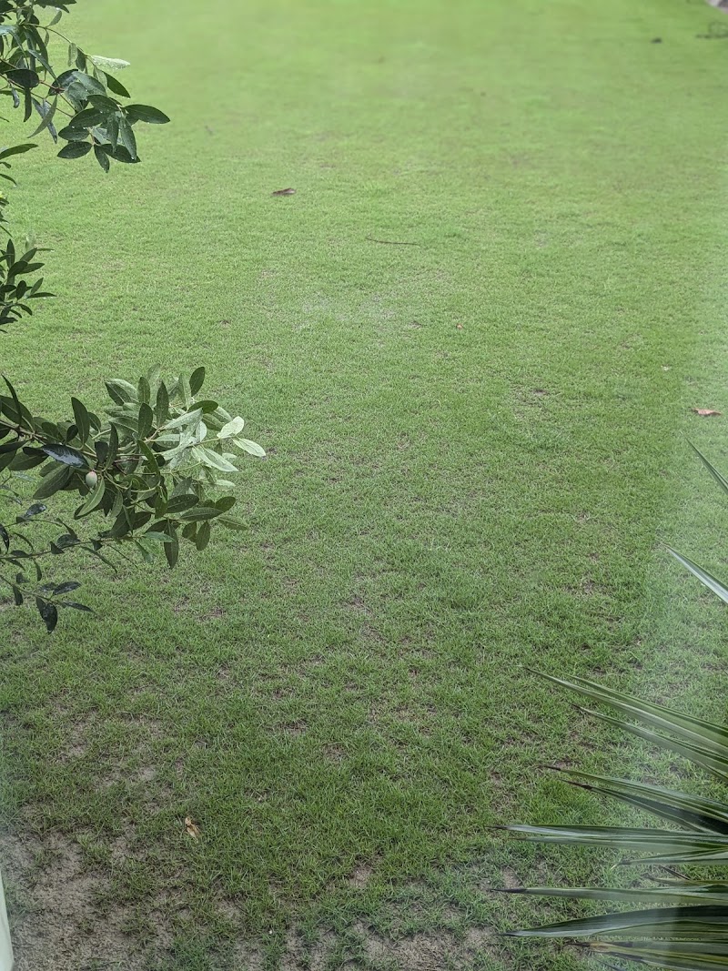 Tali farms - Tali farms, H.no, 1, po, Tali, Bazpur, Uttarakhand 262401, India