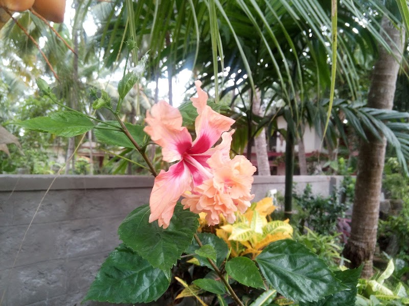 Manasa Residency - Manasa Residency, Ambalpady, 8PQG+23P, kidiyoor, Ambalapadi, Karnataka 576103, India
