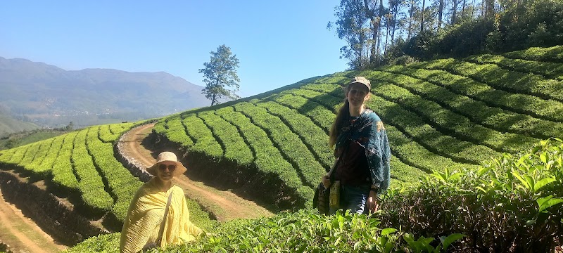 Munnar tea trekking adventure - Munnar tea trekking adventure 20 Acre, Munnar Road, Nullatanni, Pallivasal, Munnar, Kerala 685612, India