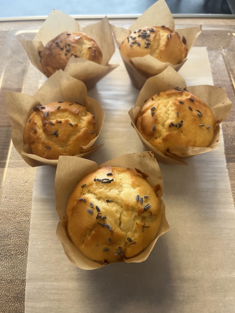 Brown Bag Coffee Company - Brown Bag Coffee Company 1688 Palm Harbor Blvd, Palm Harbor, FL 34683, USA