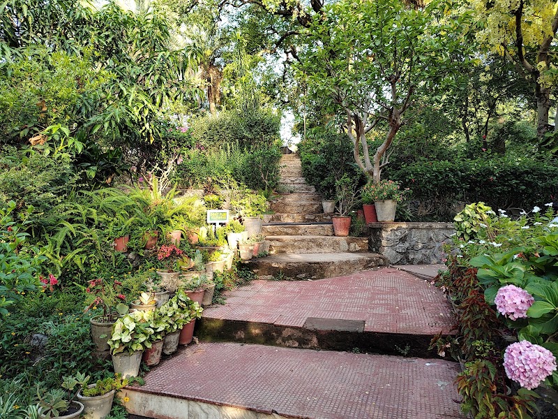 Rising Sun Retreat - Rising Sun Retreat near Old Municipal Check Post, Mount Abu, Rajasthan 307501, India