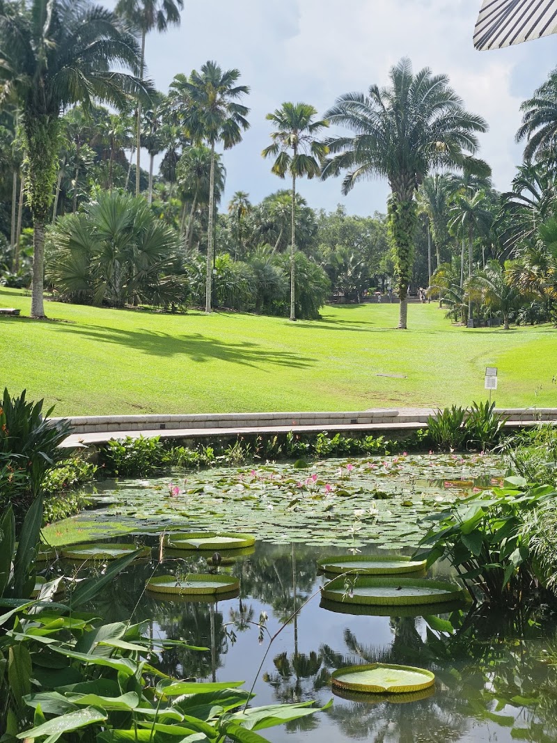 Singapore Botanic Gardens - Singapore Botanic Gardens 1 Cluny Rd, Singapore 259569