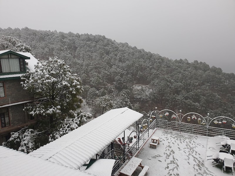 Winnies Holiday Resort & Spa Kasauli - Winnies Holiday Resort & Spa Kasauli Village Sanawar on Main Dharampur Kasauli Road 1 Km after Pinegrove School Sanawar Resorts, Sanawar, Tehsil, Kasauli, Himachal Pradesh 173202, India