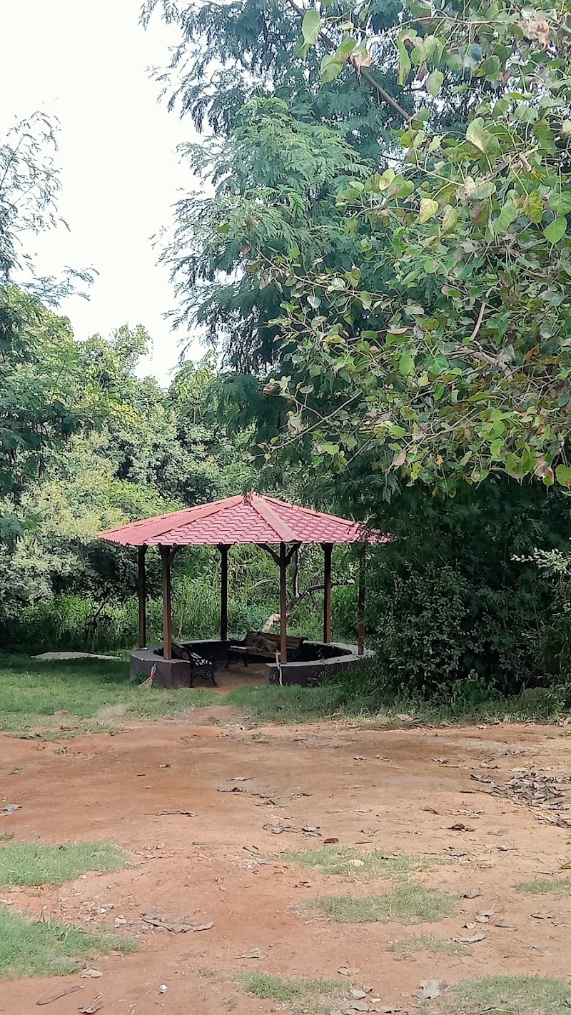 Central Ridge - Central Ridge J5HP+PV, Central Ridge Reserve Forest, New Delhi, Delhi 110060, India