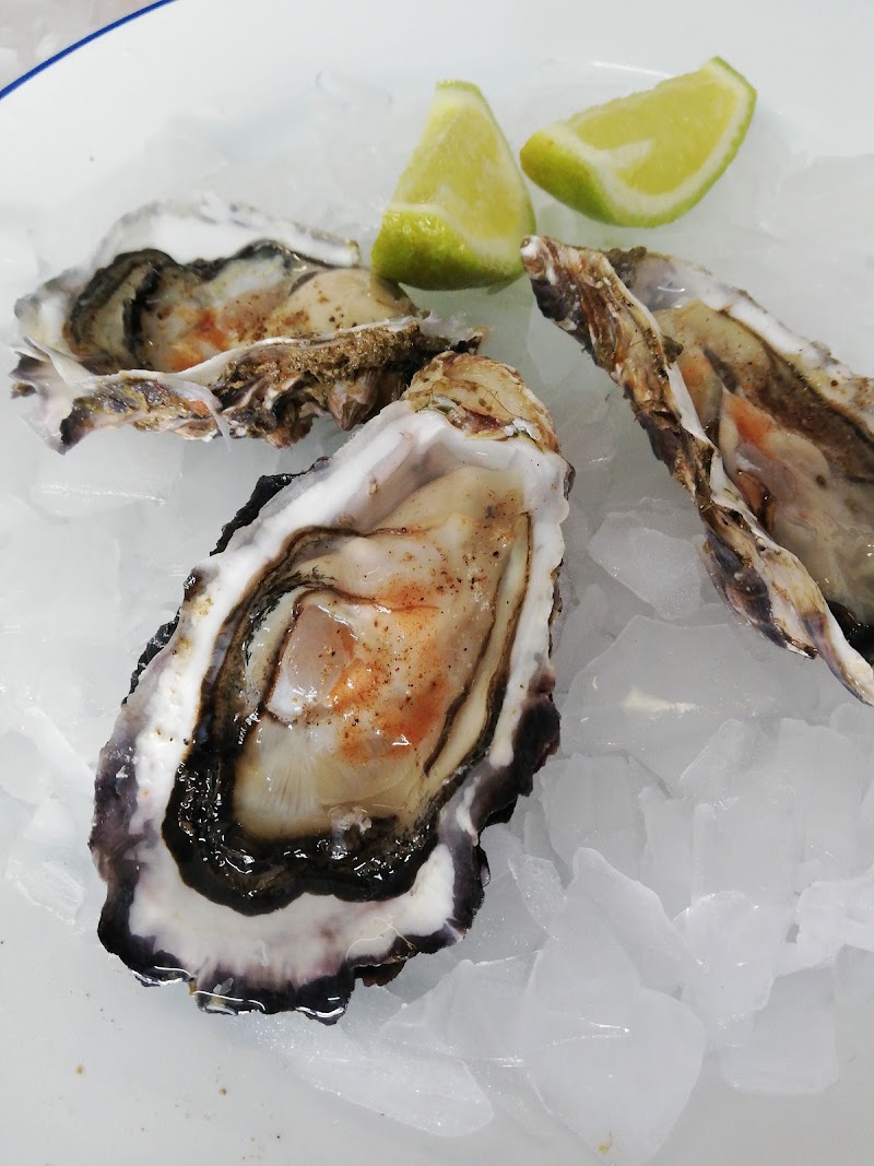 Gordon's Bay Fisheries - Gordon's Bay Fisheries, 4 Link Rd, Mansfield, Cape Town, 7151, South Africa
