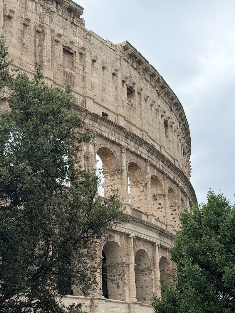 Best Rome Driver - Best Rome Driver, Via Pellegrino Matteucci, 25, 00154 Roma RM, Italy