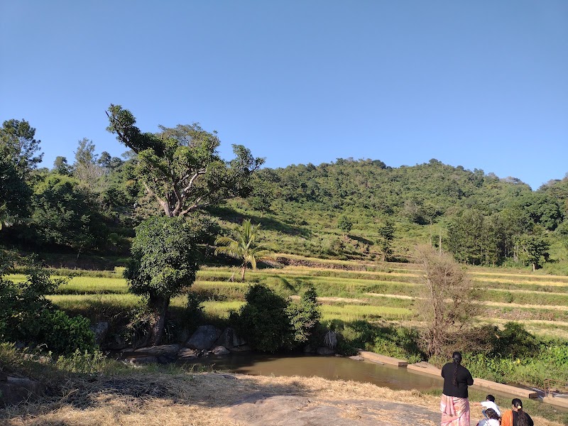 Thatiguda Waterfall - Thatiguda Waterfall, 62G5+8CG, Ananthagiri, Andhra Pradesh 535145, India