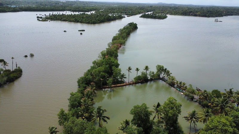 Mangrove view - Mangrove view Mangrove Vw Rd, Perumpuzha, Paravur, Kerala 691301, India