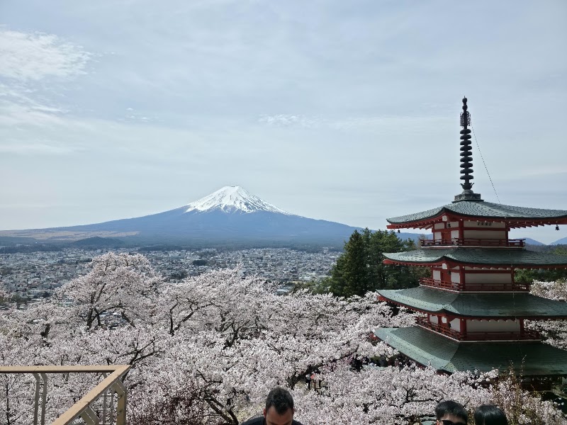 Arakurayama Sengen Park
