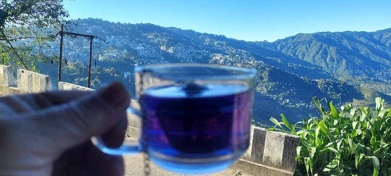 Tea View Homestay - Tea View Homestay 1/A, Lebong Cart Rd, above Happy Valley Tea garden, Chauk Bazaar, Darjeeling, West Bengal 734101, India