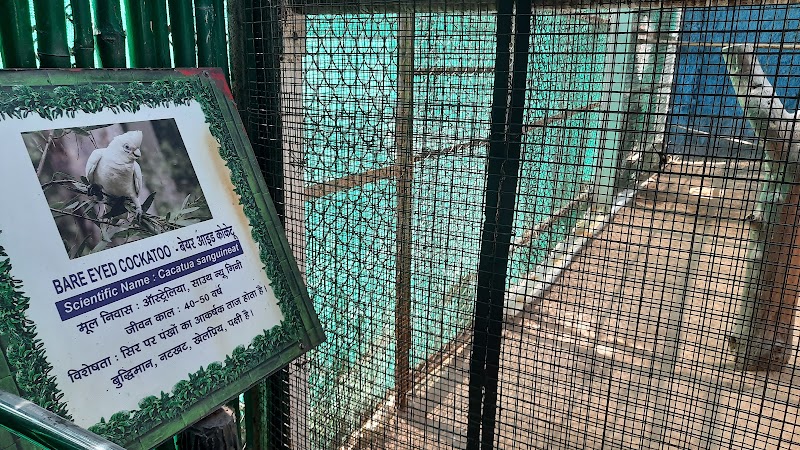 Nandan Van Zoo - Nandan Van Zoo 7GMV+8FV, Atari, Hatband, Chhattisgarh 492099, India