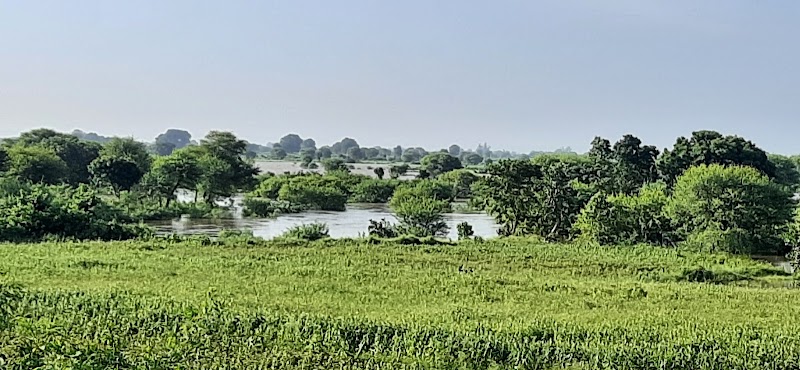Ken River - Ken River, Madhya Pradesh