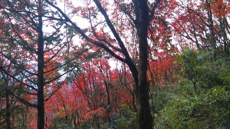 Daxueshan (Babo Rinisan) - Daxueshan (Babo Rinisan), Heping District, Taichung City, Taiwan 424