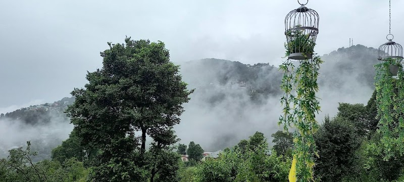 Shoolin Mountain Homestay - shoolin mountain homestay, Chohla, Tahu, Dharamshala, Himachal Pradesh 176215, India