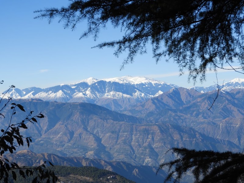 Off the trail cafe - Off the trail cafe, Bakrota hill, Dhupguri, Dalhousie, Himachal Pradesh 176304, India