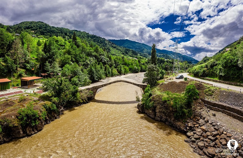 Dandalo Bridge - Dandalo Bridge, J4W5+J3Q, Jalabashvilebi, Georgia