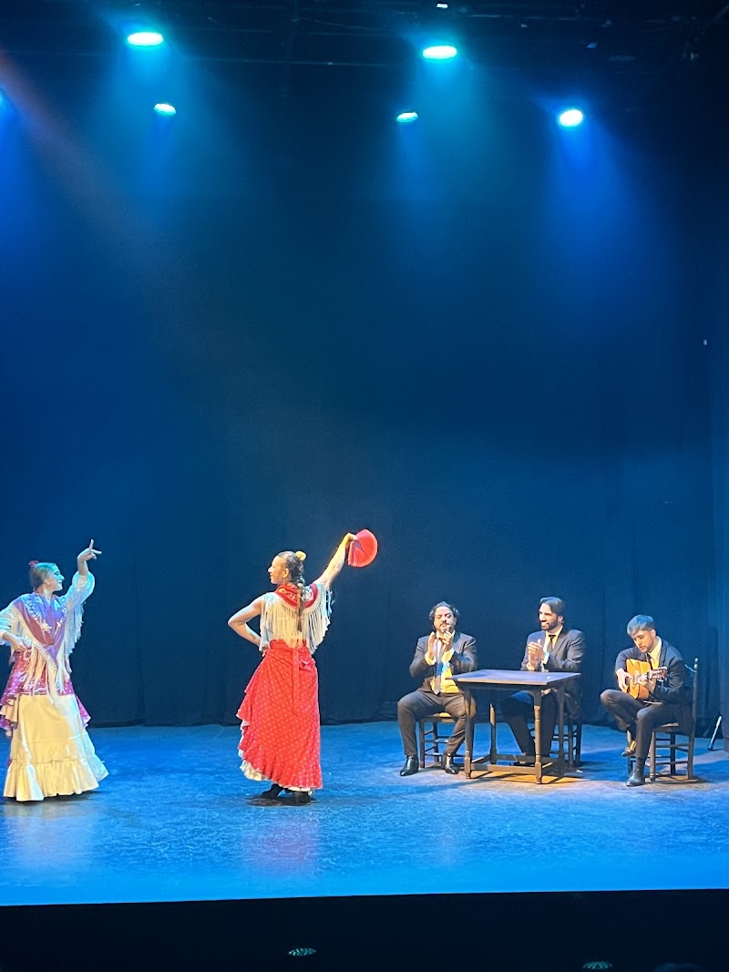 Teatro Flamenco Sevilla - Teatro Flamenco Sevilla C. Cuna, 15, Casco Antiguo, 41004 Sevilla, Spain