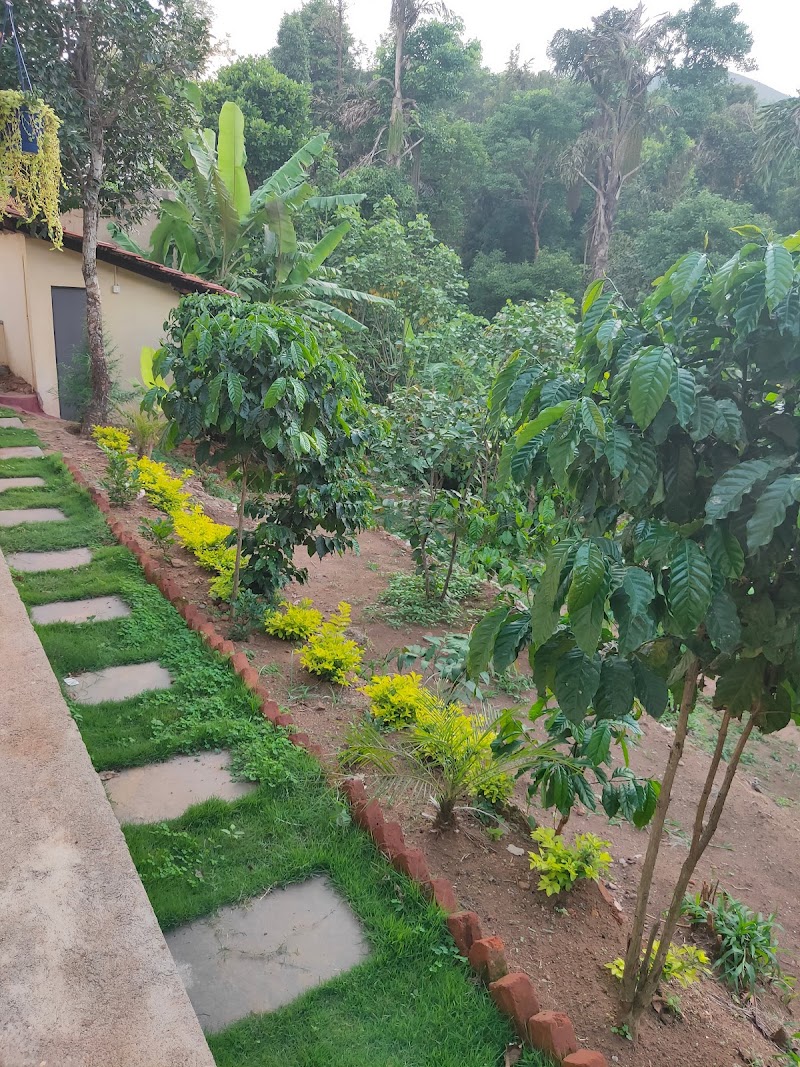 Aroma Homestay Sakleshpur - Aroma Homestay Sakleshpur 27/2 MSIL Road, Vanagoor, Circle, Near, Kudrasthe, Bisle State Forest, Karnataka 573123, India