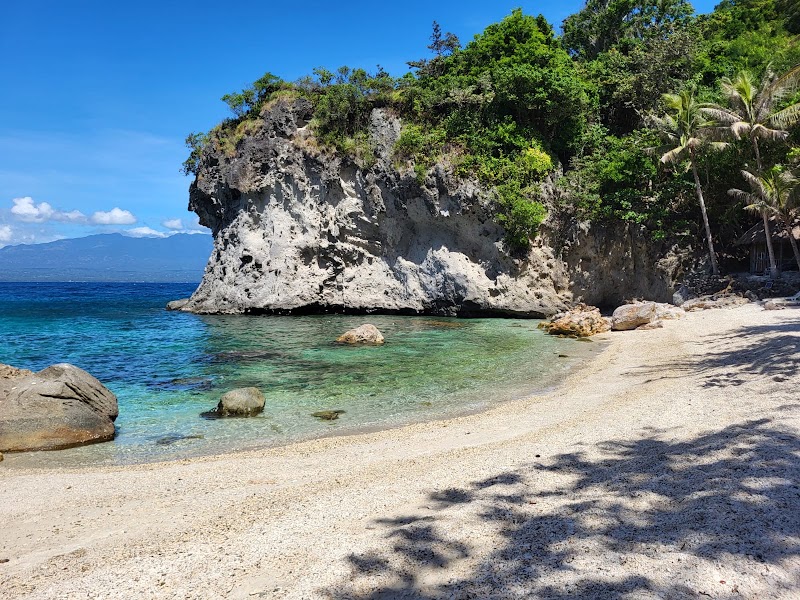 Apo Island - Apo Island, Dauin, 6217 Negros Oriental, Philippines