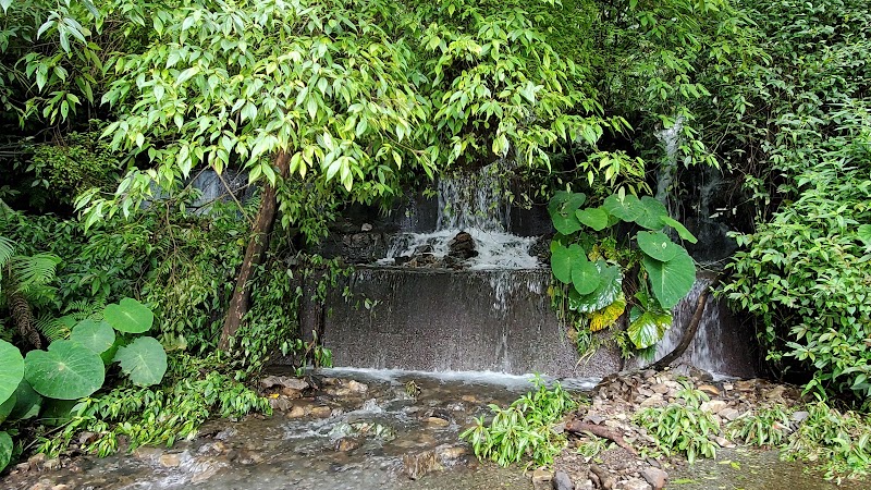 Daxue Mountain - Daxue Mountain, Tai'an Township, Miaoli County, Taiwan 365